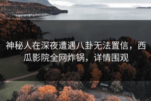神秘人在深夜遭遇八卦无法置信，西瓜影院全网炸锅，详情围观